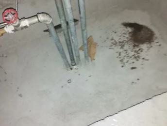 锡林浩特卫生间测漏水价格明细
